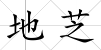 地芝