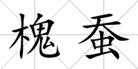 槐蠶