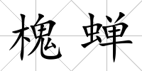 槐蟬