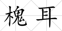 槐耳