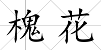 槐花