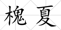 槐夏