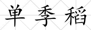 單季稻