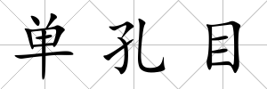 單孔目