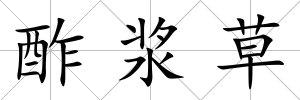 酢漿草