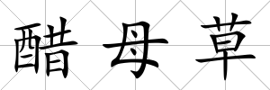 醋母草