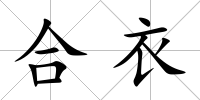 合衣