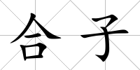 合子