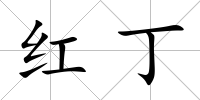 紅丁