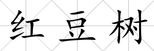 紅豆樹