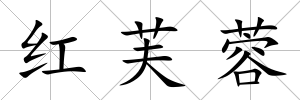紅芙蓉