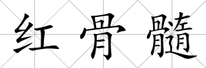 紅骨髓