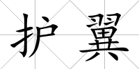 護翼