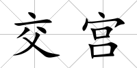 交宮
