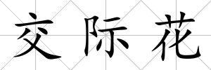 交際花