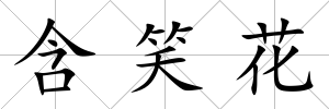 含笑花