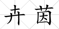 卉茵