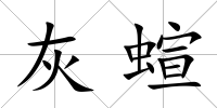 灰蝖