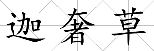 迦奢草