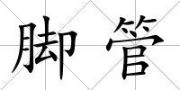 腳管