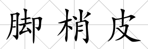 腳梢皮