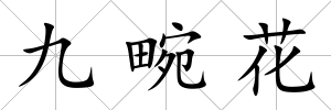 九畹花