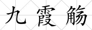 九霞觴