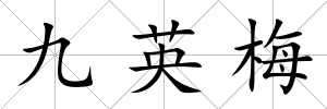 九英梅