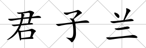 君子蘭