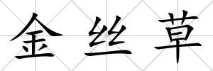 金絲草