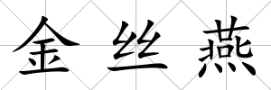 金絲燕