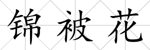 錦被花