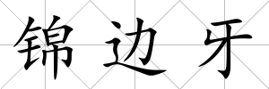錦邊牙