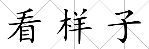 看樣子