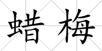 蠟梅
