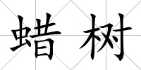 蠟樹