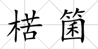 楛箘
