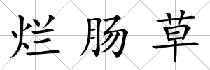 爛腸草