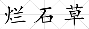 爛石草