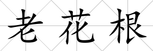 老花根