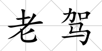 老駕