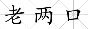 老兩口