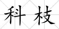 科枝