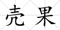 殼果