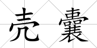 殼囊