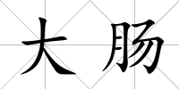 大腸