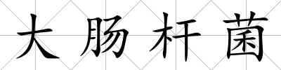大腸桿菌