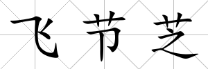 飛節芝