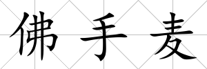 佛手麥