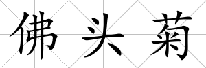 佛頭菊
